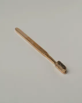 Cast Bronze Toothbrush