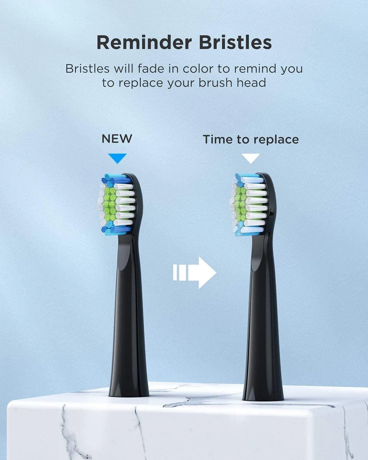 E11 Sonic Electric Toothbrush with 8 Bursh Heads