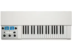 Mellotron M4000D MINI