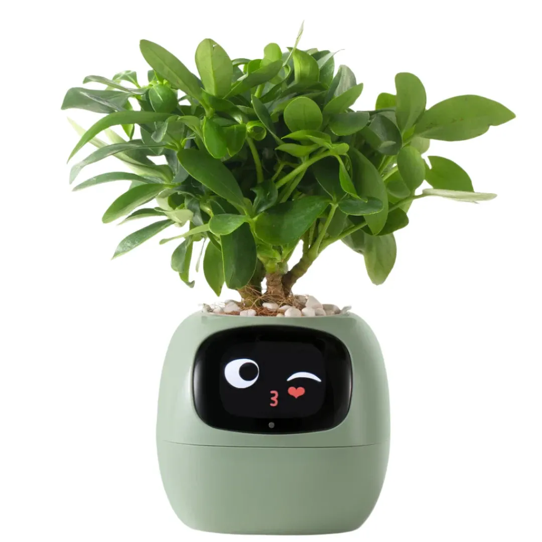 NextGen Ivy Smart Planter