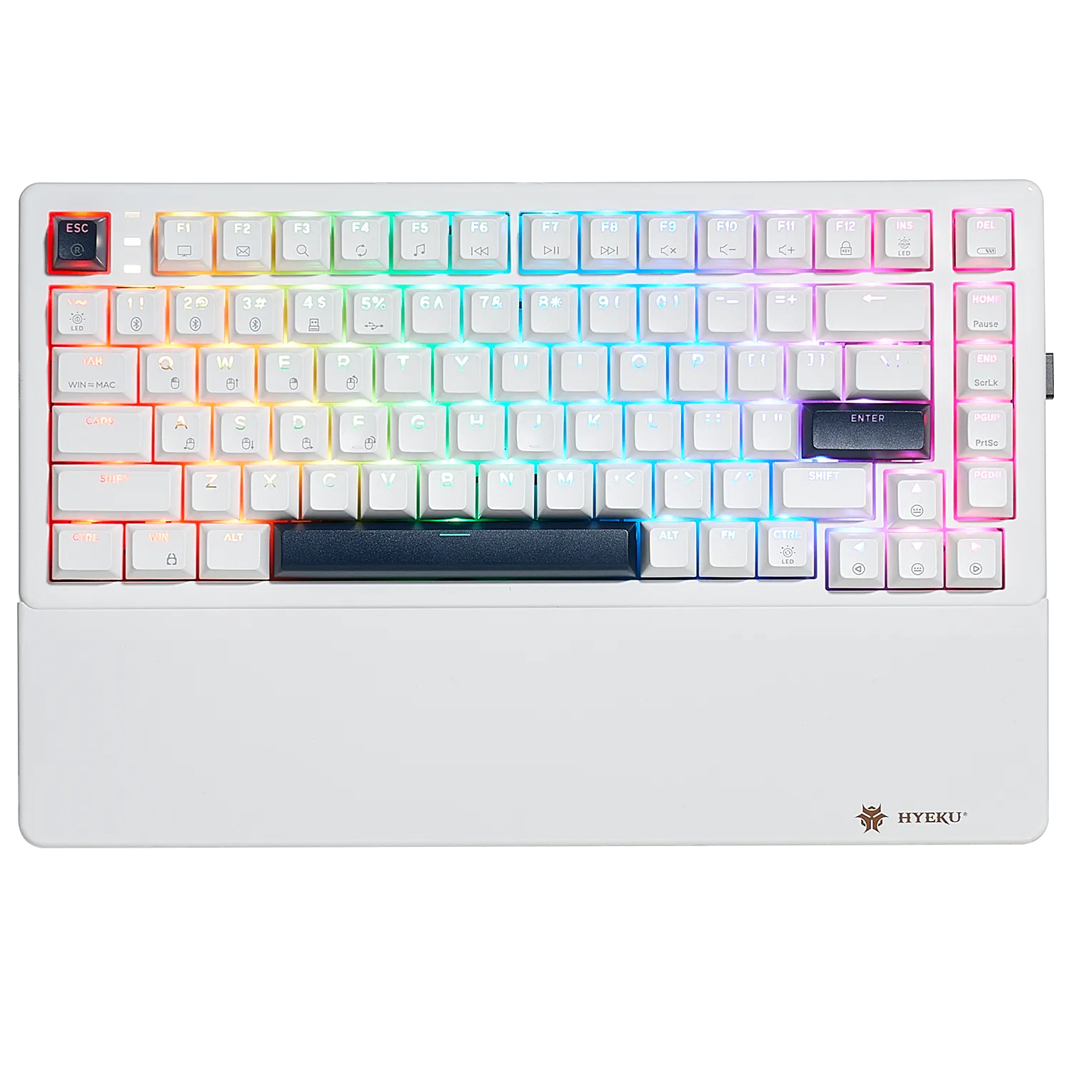 WarpSpeed E2 Pro TKL RGB Wireless Gaming Mechanical Keyboard