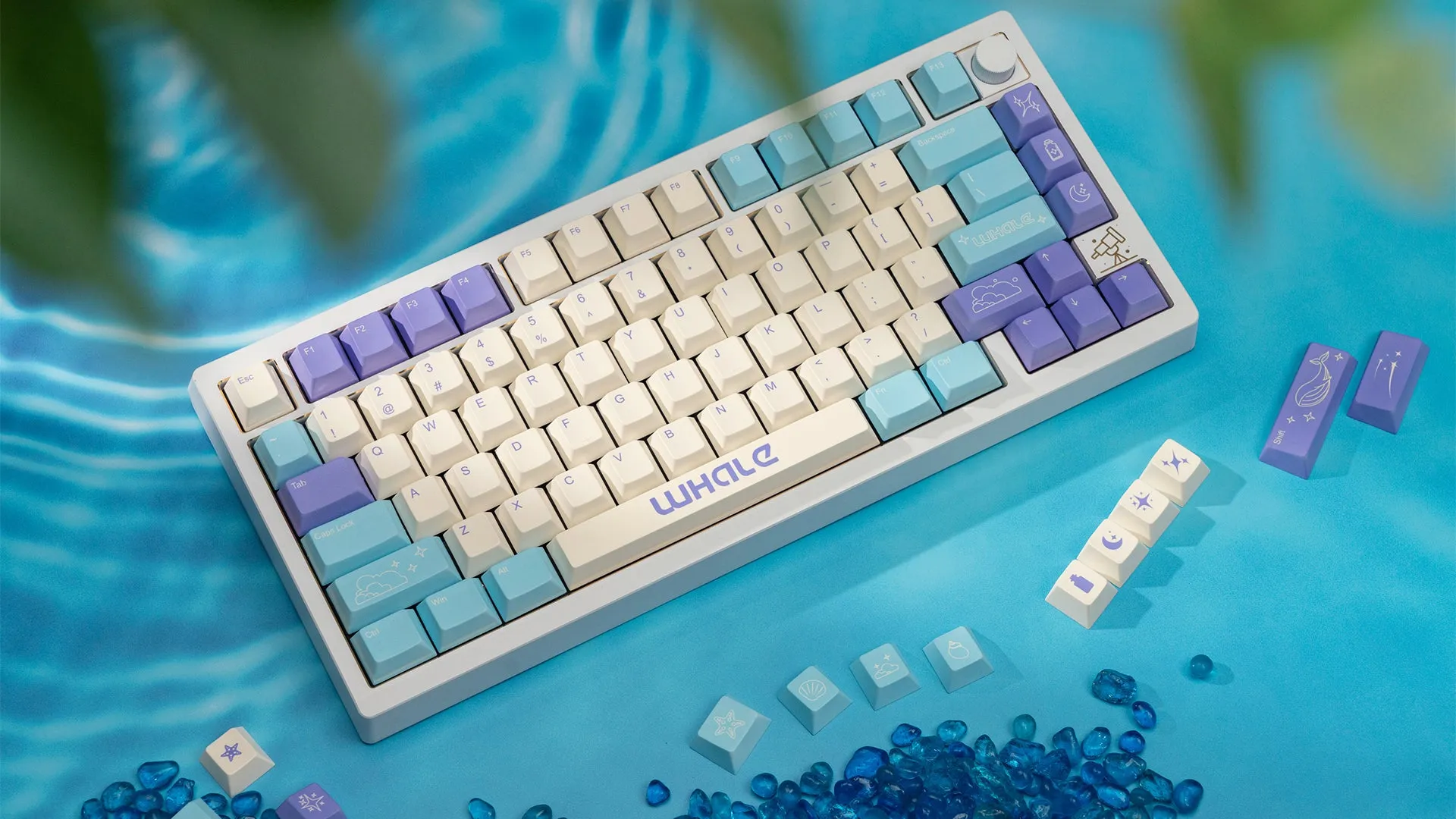 Wuque Studio Whale Keycap Set